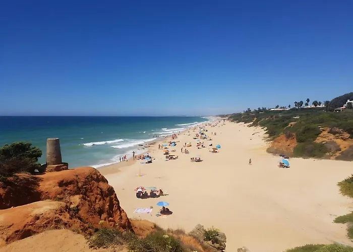 Rural Cortijo Rosario Будинок відпочинку Коніль-де-ла-Фронтера